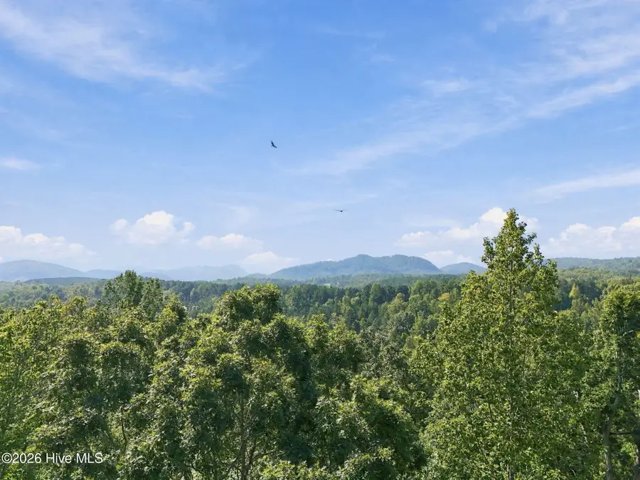 0 Nathan Mcdaniel Drive, Nebo, NC 28761 - #3