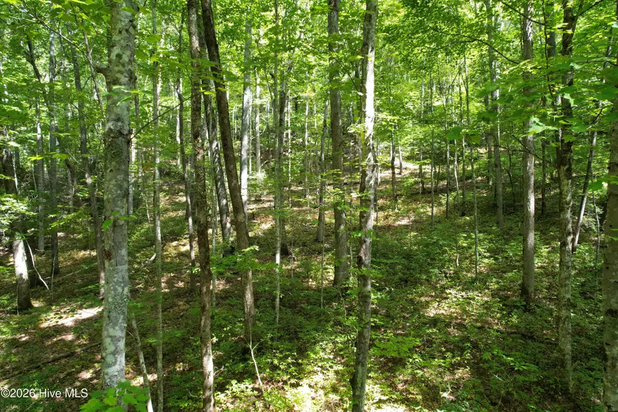 22 Nantahala Harbor Drive, Topton, NC 28781 - #3