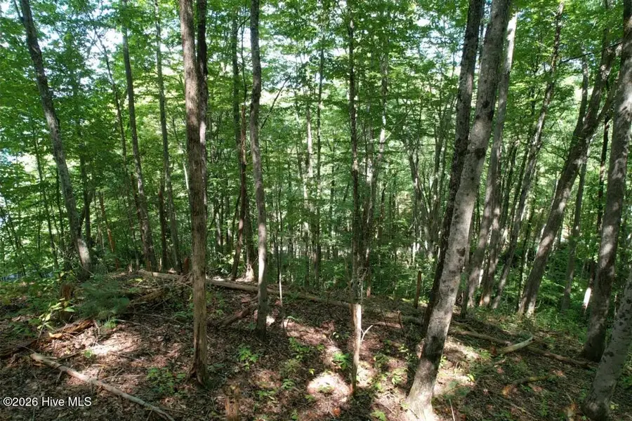 10 Deer Park Lane, Topton, NC 28781 - #3