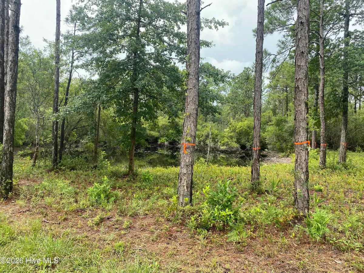 120 Dixon Road, Boiling Spring Lakes, NC 28461 - #1