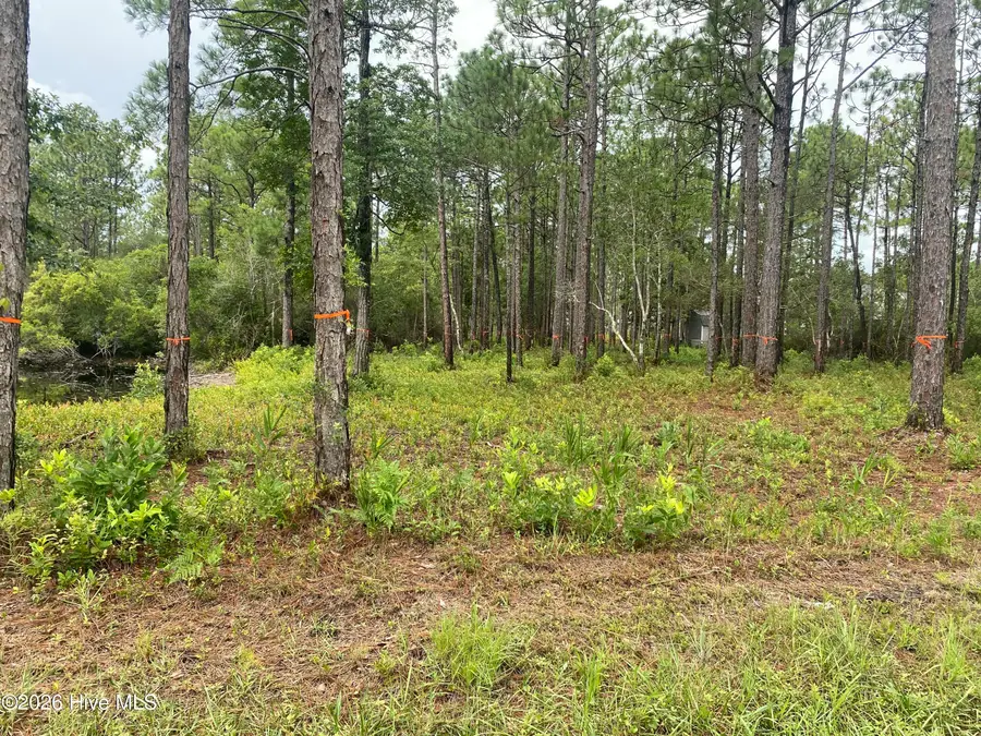 120 Dixon Road, Boiling Spring Lakes, NC 28461 - #3