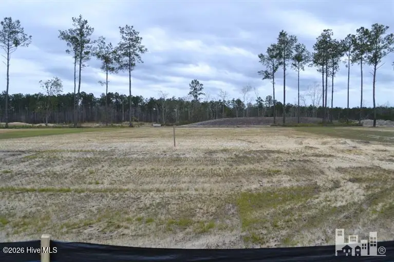 2083 Ballenger Ridge Circle, Leland, NC 28451 - #2