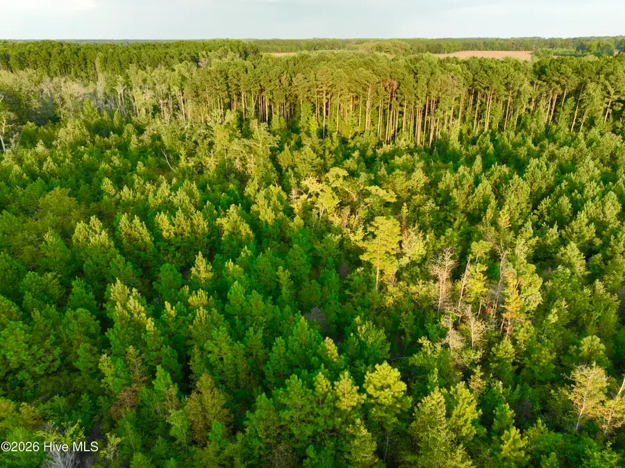 0 Princeton Kenly Road, Kenly, NC 27542 - #2