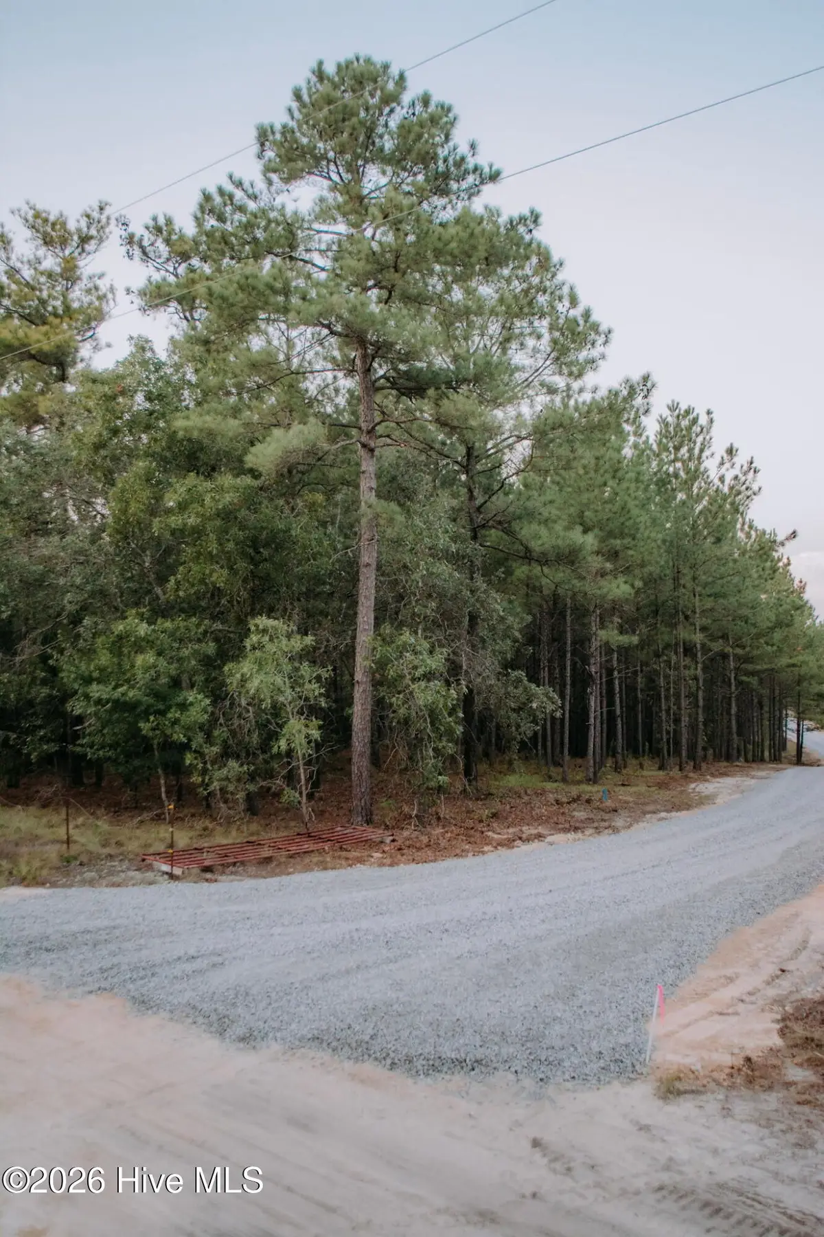 Lot 1-Tbd Nighthawk Loop, Aberdeen, NC 28315 - #1