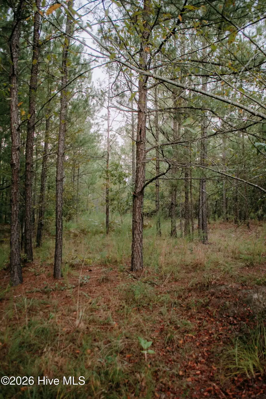 Lot 1-Tbd Nighthawk Loop, Aberdeen, NC 28315 - #2