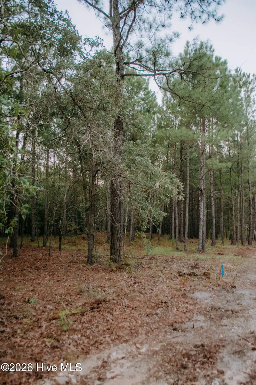 Lot 1-Tbd Nighthawk Loop, Aberdeen, NC 28315 - #3
