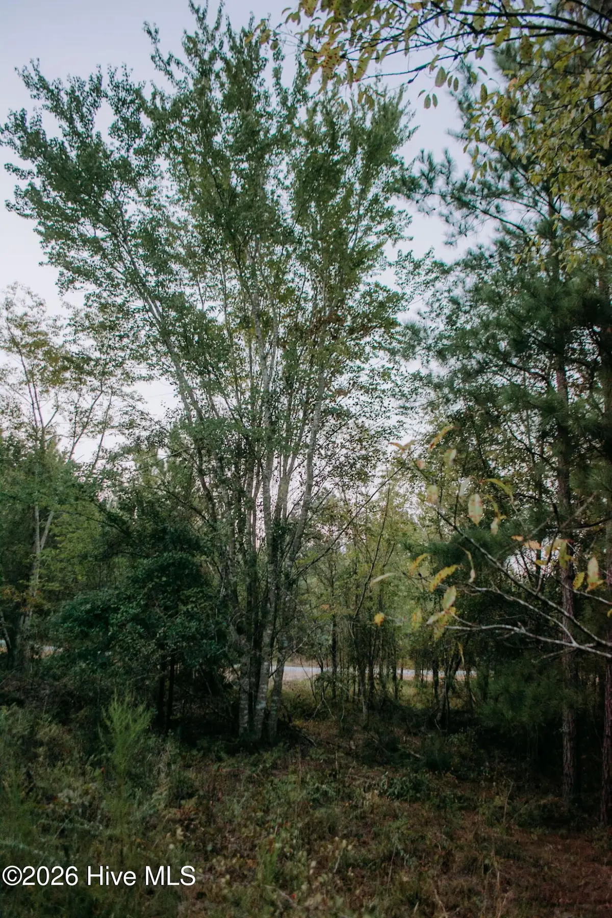 Lot 3-Tbd Nighthawk Loop, Aberdeen, NC 28315 - #1