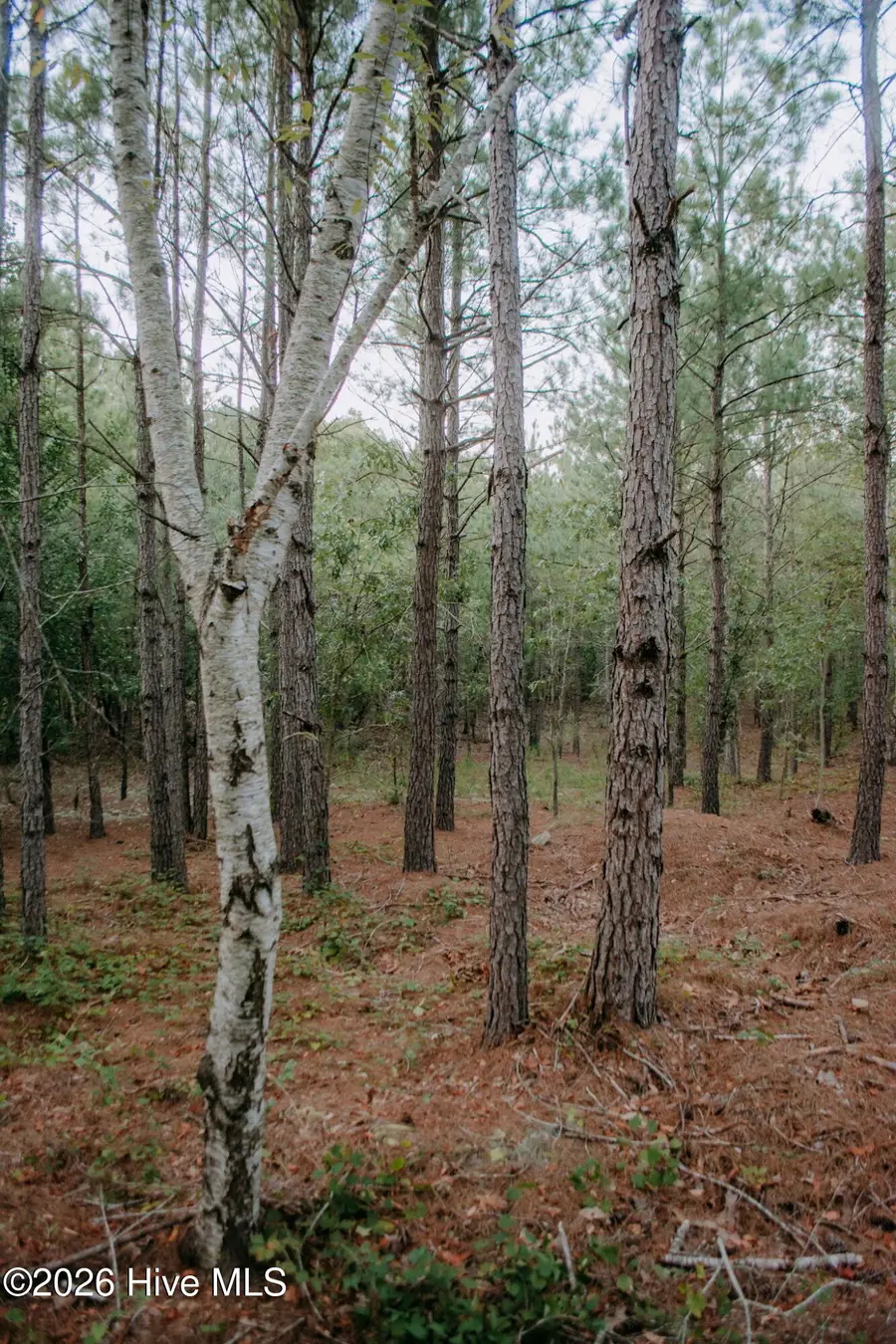 Lot 3-Tbd Nighthawk Loop, Aberdeen, NC 28315 - #2