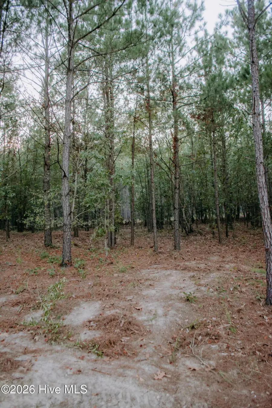 Lot 3-Tbd Nighthawk Loop, Aberdeen, NC 28315 - #3