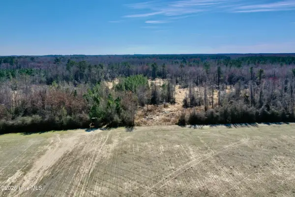 Tract 2 Haynes Len Highway, Cerro Gordo, NC 28430