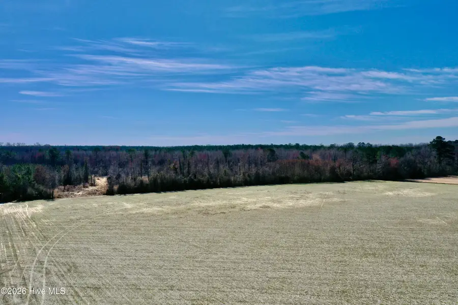 Tract 2 Haynes Len Highway, Cerro Gordo, NC 28430 - #2