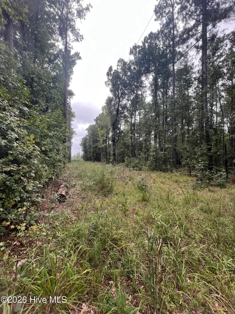 0 Us-264, Belhaven, NC 27810 - #3