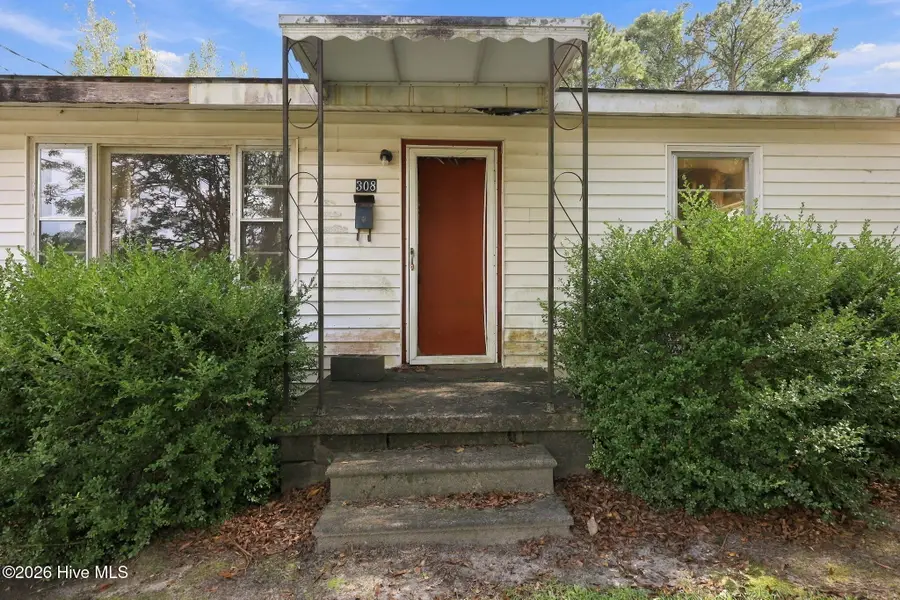 308 E Church Street, Williamston, NC 27892 - #3