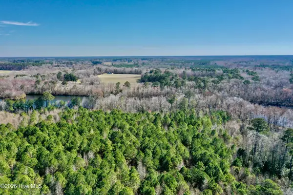Tract 3 Haynes Len Highway, Cerro Gordo, NC 28430