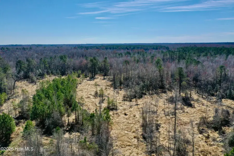 Tract 3 Haynes Len Highway, Cerro Gordo, NC 28430 - #2