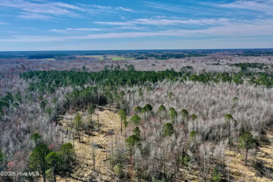 Tract 3 Haynes Len Highway, Cerro Gordo, NC 28430 - #3