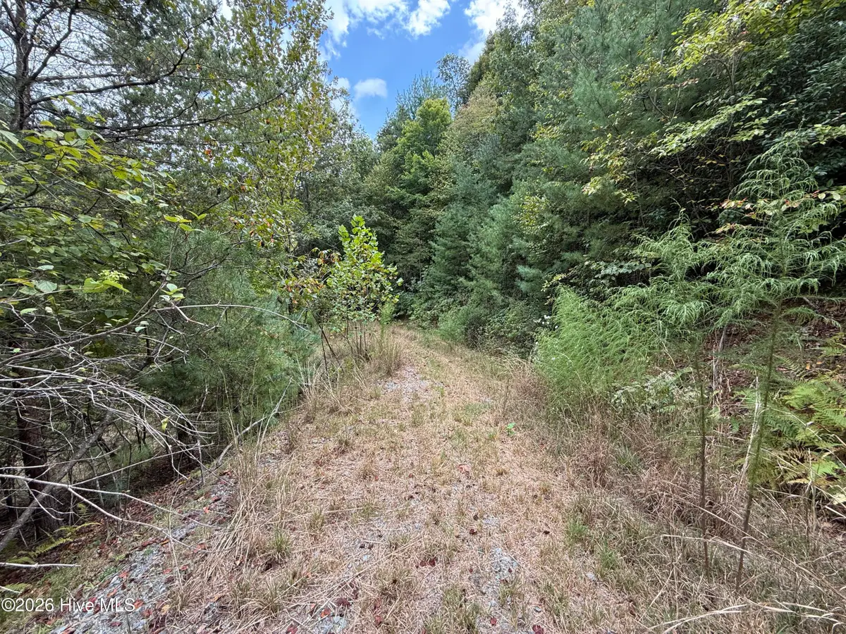 190 Leisey Lane, Murphy, NC 28906 - #1
