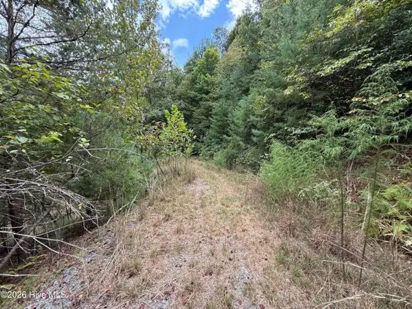 190 Leisey Lane, Murphy, NC 28906