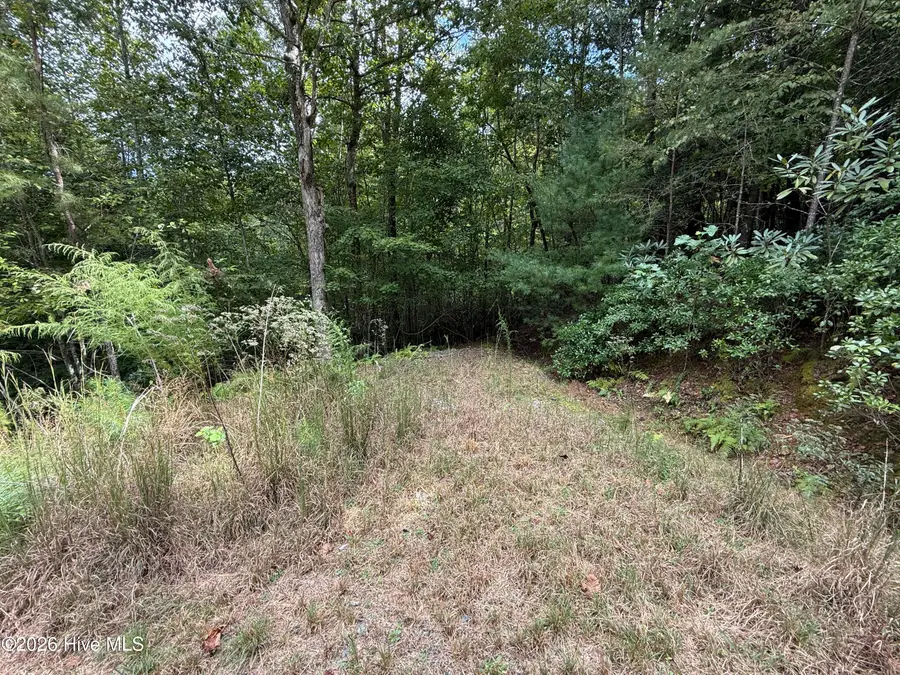190 Leisey Lane, Murphy, NC 28906 - #2