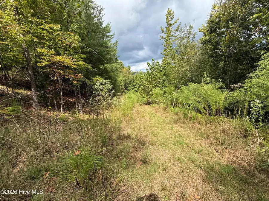 190 Leisey Lane, Murphy, NC 28906 - #3