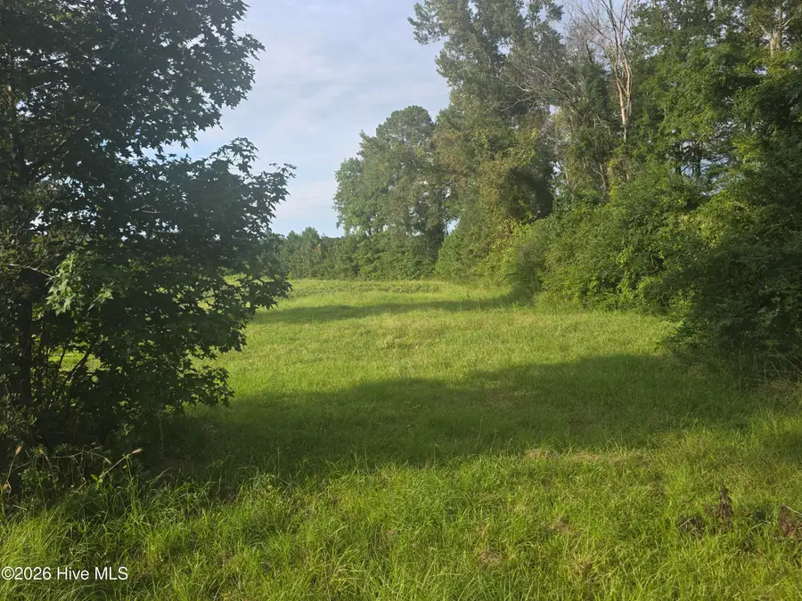 927 Clarendon Chadbourn Road, Chadbourn, NC 28431 - #3