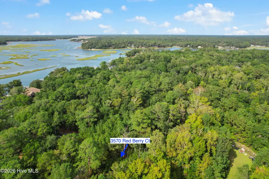 3570 Red Berry Court Sw, Supply, NC 28462 - #2