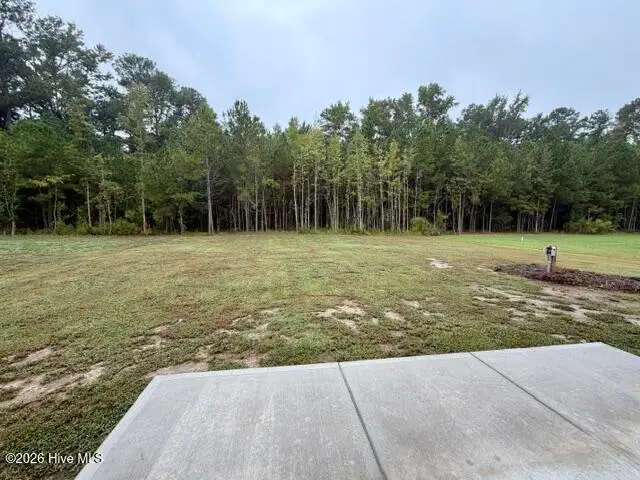 107 Windemere Lane, Goldsboro, NC 27530 - #2