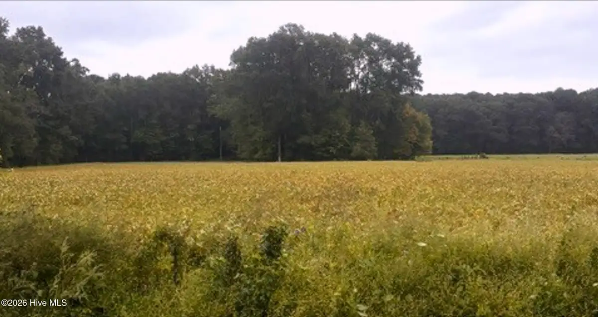 0 Rountree Road, Winterville, NC 28590 - #1