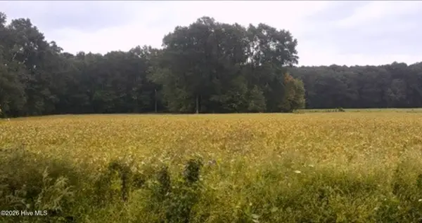 0 Rountree Road, Winterville, NC 28590