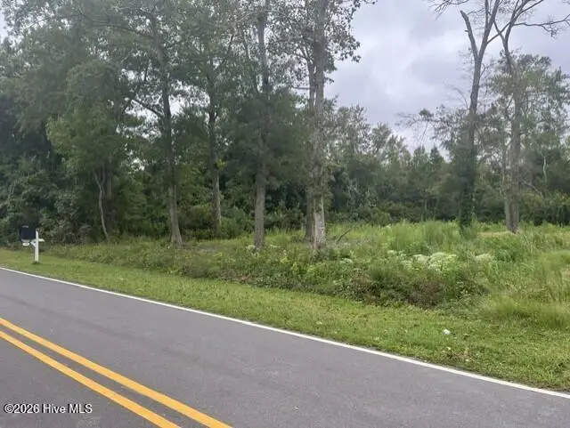 174 Pearson Circle, Newport, NC 28570 - #1