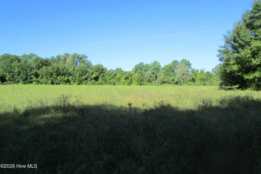 201 Eliza Lane, Clinton, NC 28328 - #2