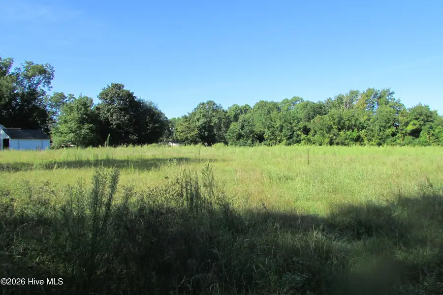 201 Eliza Lane, Clinton, NC 28328 - #3