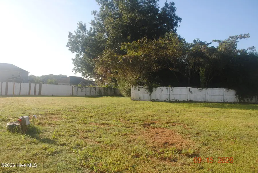 505 Duet Court, Richlands, NC 28574 - #3