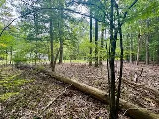 50,51,& 53 Chestnut & Teak Street, Hertford, NC 27944 - #2
