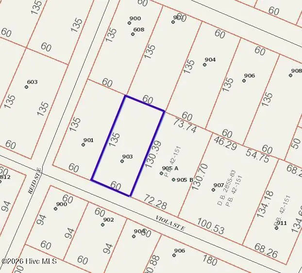 903 Viola Street E, Wilson, NC 27893 - #2