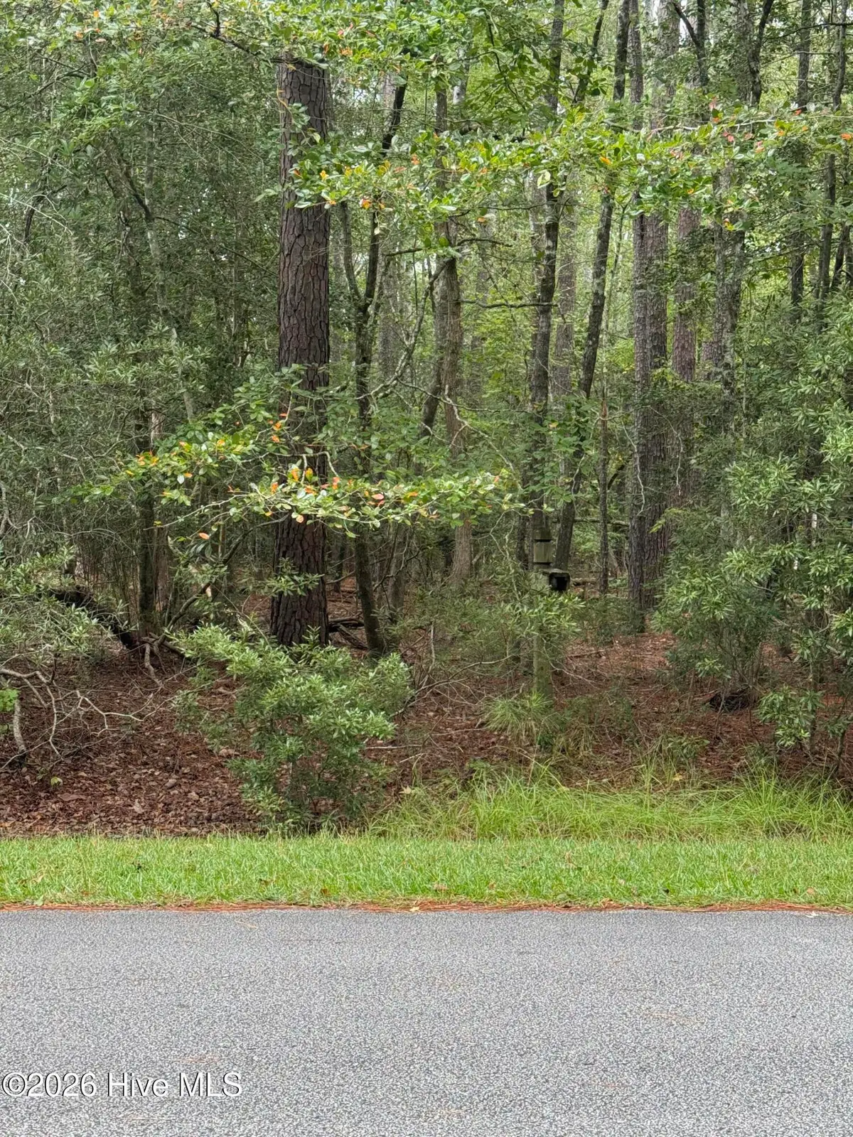 208 Pamlico River Drive, Washington, NC 27889 - #1