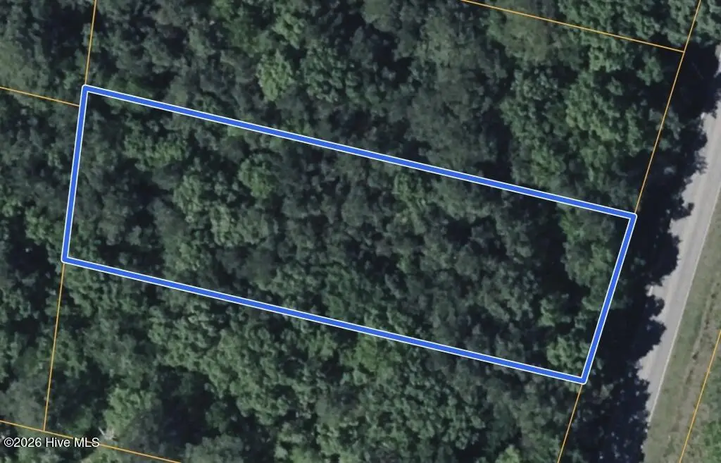 161 Old Washington Road, Vanceboro, NC 28586 - #1