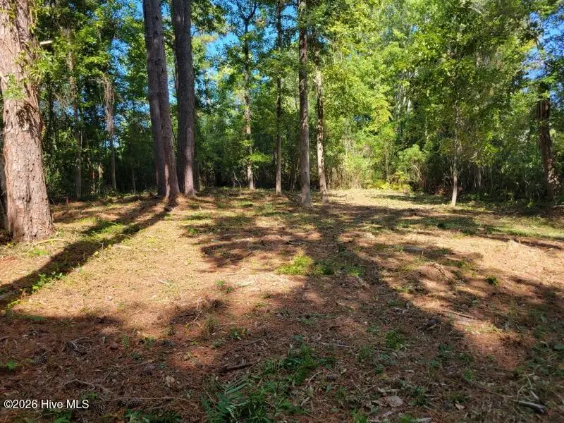 190 Cedar Creek Road, Newport, NC 28570 - #1