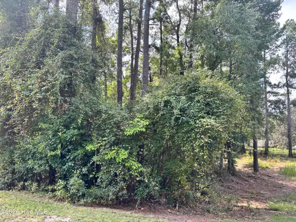 16 A Point Caswell Road, Atkinson, NC 28421