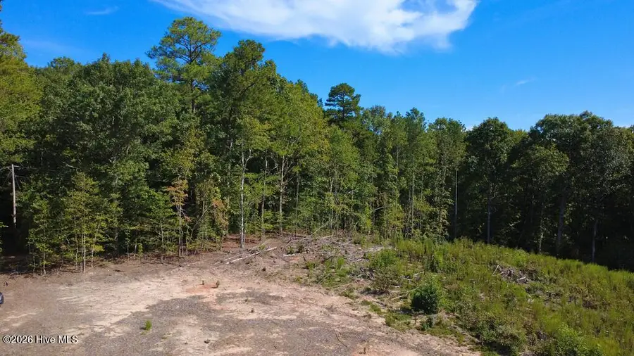 Tbd Dunhams Creek Lane, Carthage, NC 28327 - #3