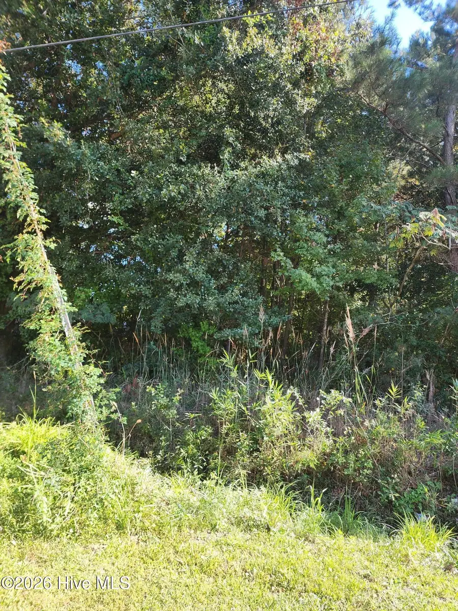 Lot 3 & 4 Hayes West St, Burgaw, NC 28425 - #2