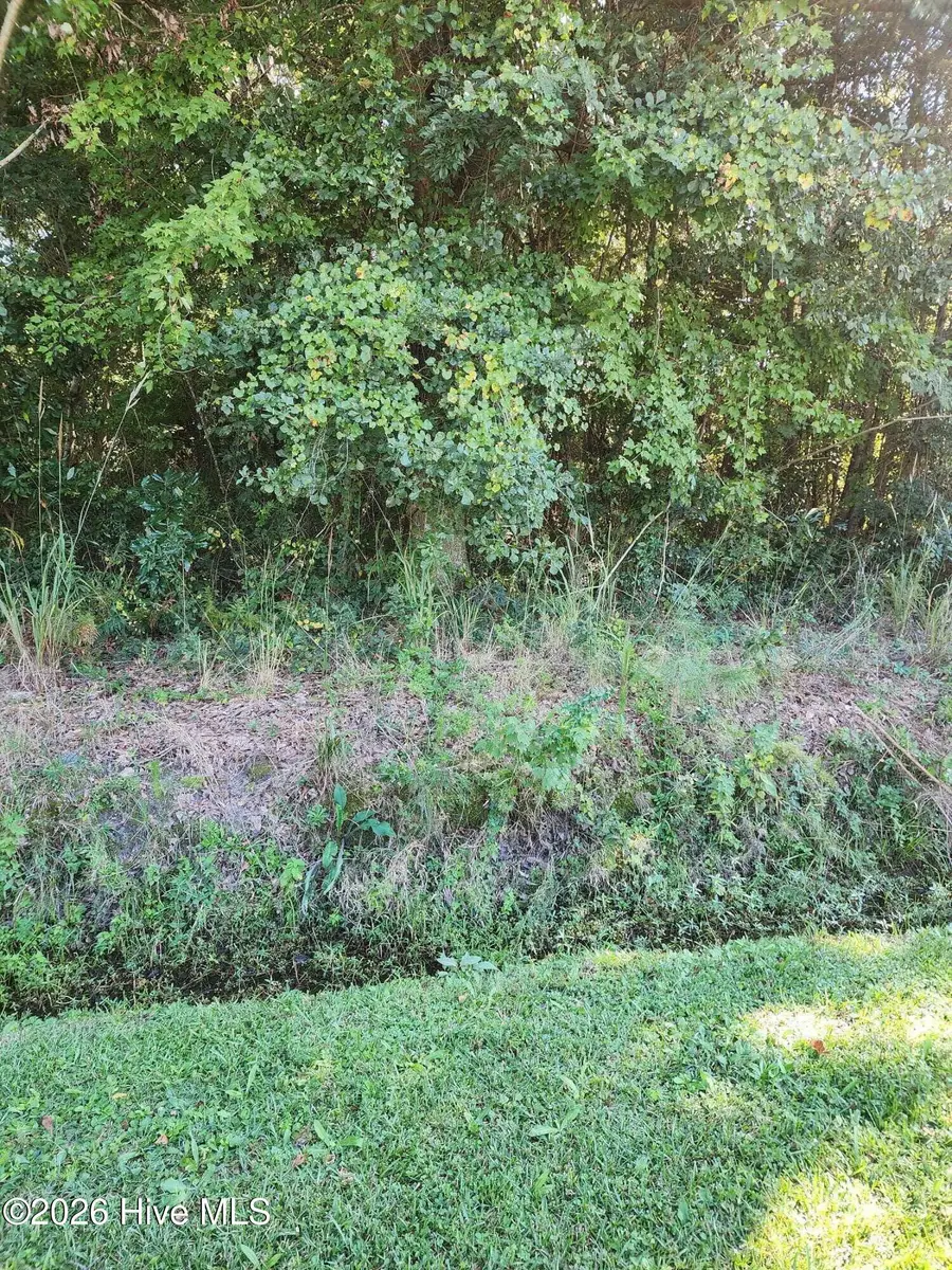 Lot 3 & 4 Hayes West St, Burgaw, NC 28425 - #3