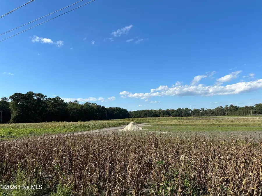 000 Willis Farm Tract-1 Road, Newport, NC 28570 - #3