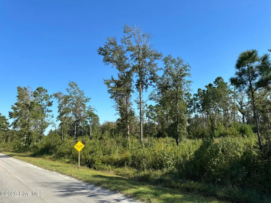 000 Willis Farm Tract-3 Road, Newport, NC 28570 - #2