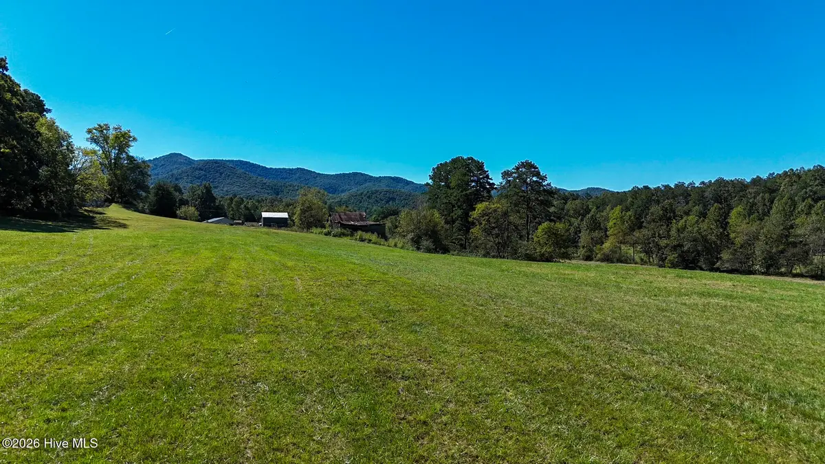 00 W Gum Log Road, Warne, NC 28909 - #1