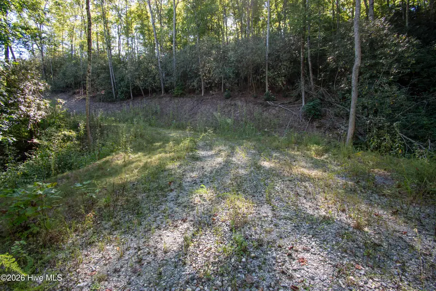 00 Upper Sawyers Creek Road, Robbinsville, NC 28771 - #2