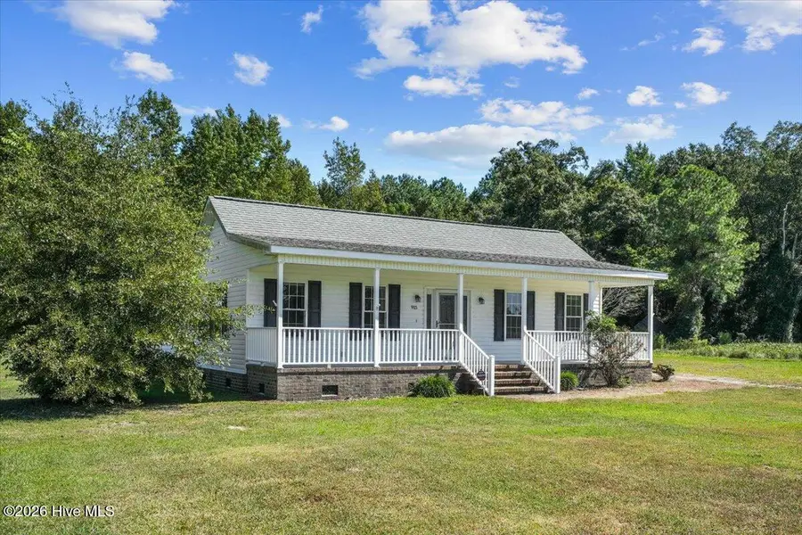 915 Mark Herring Road, Seven Springs, NC 28578 - #3
