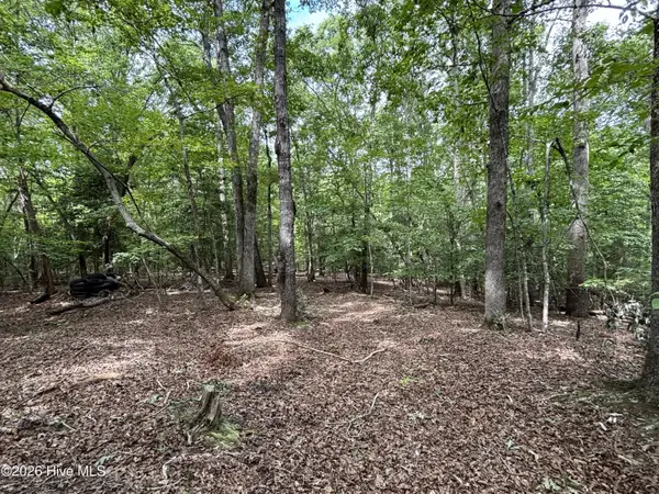 236 Sugar Loaf Drive, Troy, NC 27371
