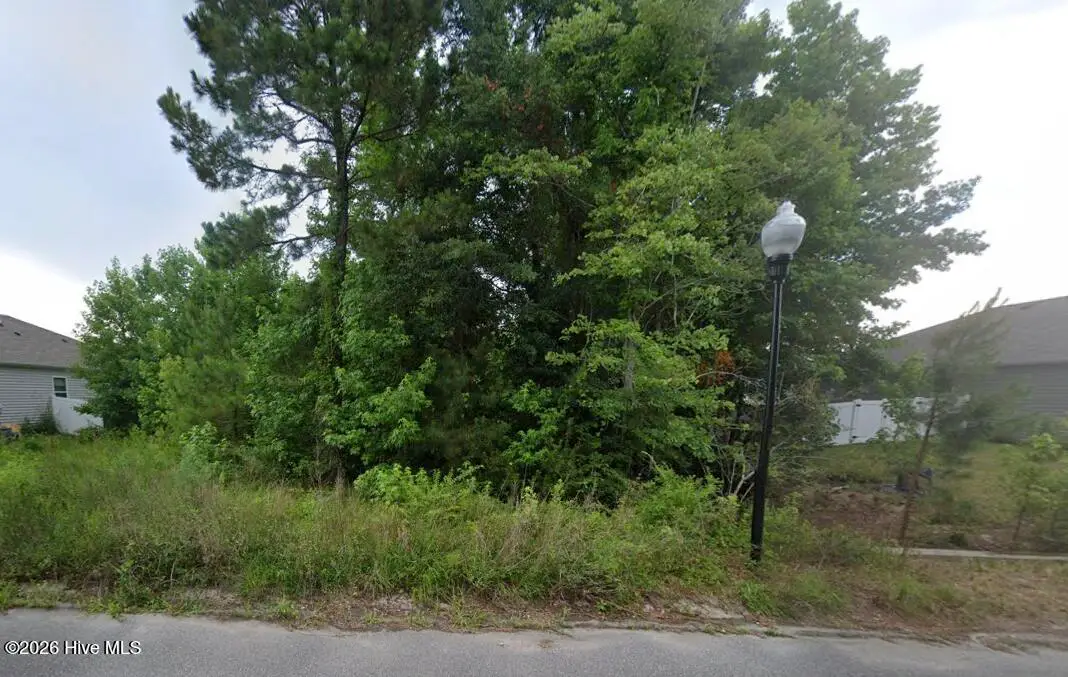 1350 Cadbury Castle Drive Se, Bolivia, NC 28422 - #1