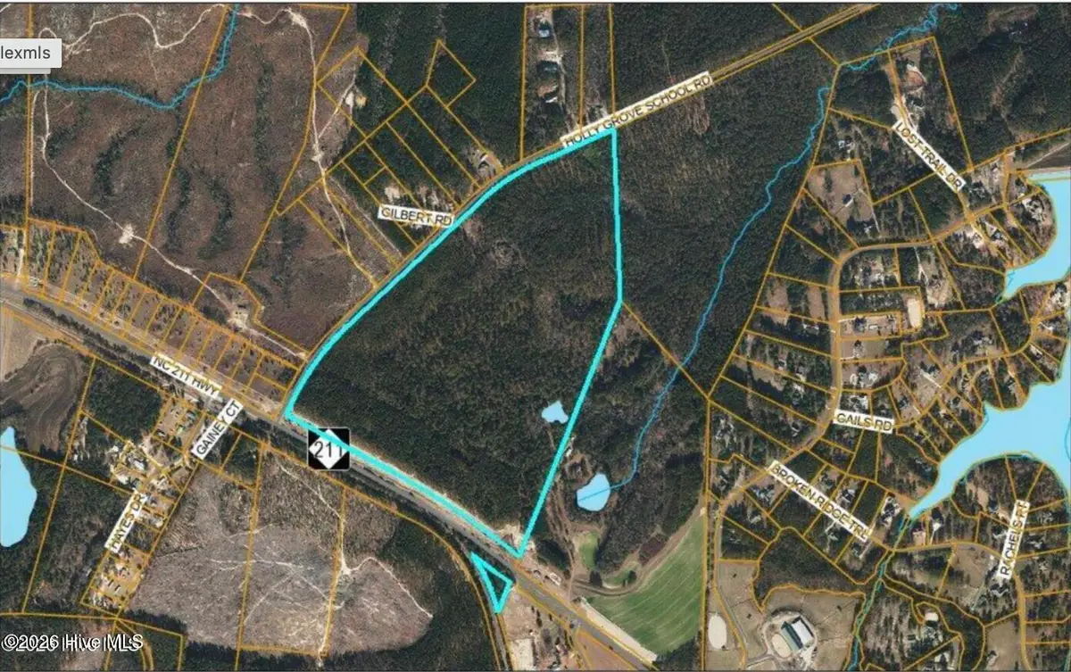 3319 N Nc 211 Highway, Seven Lakes, NC 27376 - #1